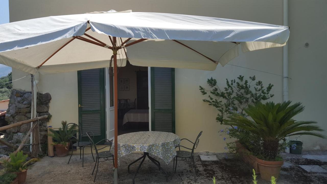Gli Ulivi Agriturismo Sant'Agnello Exterior photo