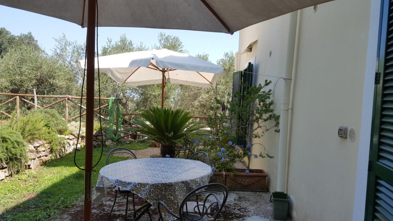Gli Ulivi Agriturismo Sant'Agnello Exterior photo