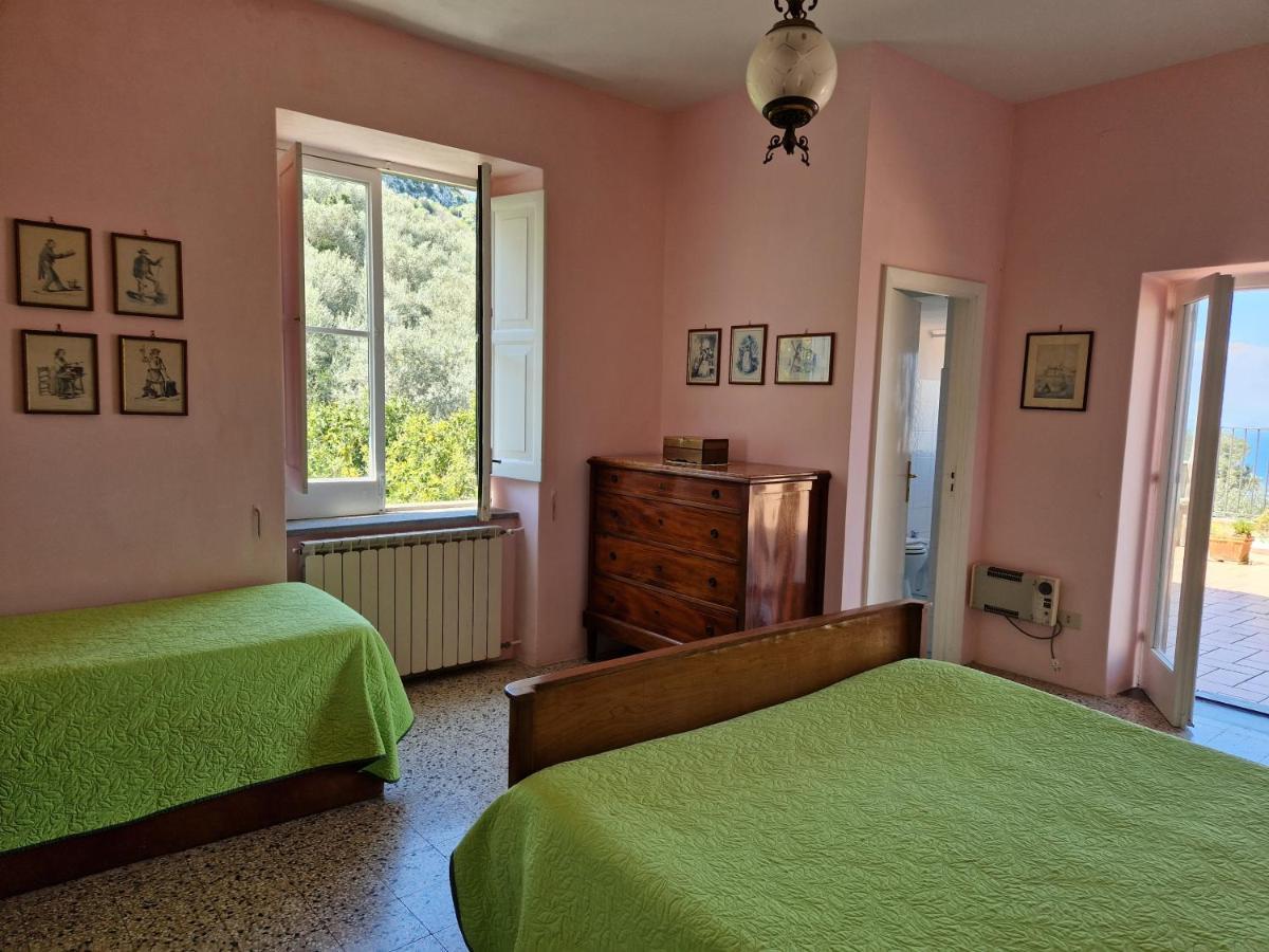 Gli Ulivi Agriturismo Sant'Agnello Exterior photo